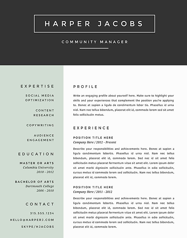 Full Colour Best Resume Template 2016 Resume Offered research 
