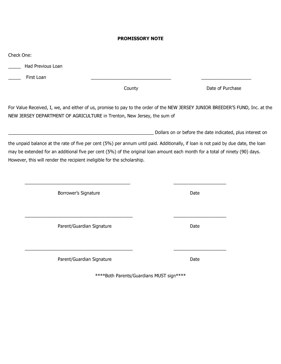 8+ Blank Promissory Note – Free Sample, Example, Format Download 