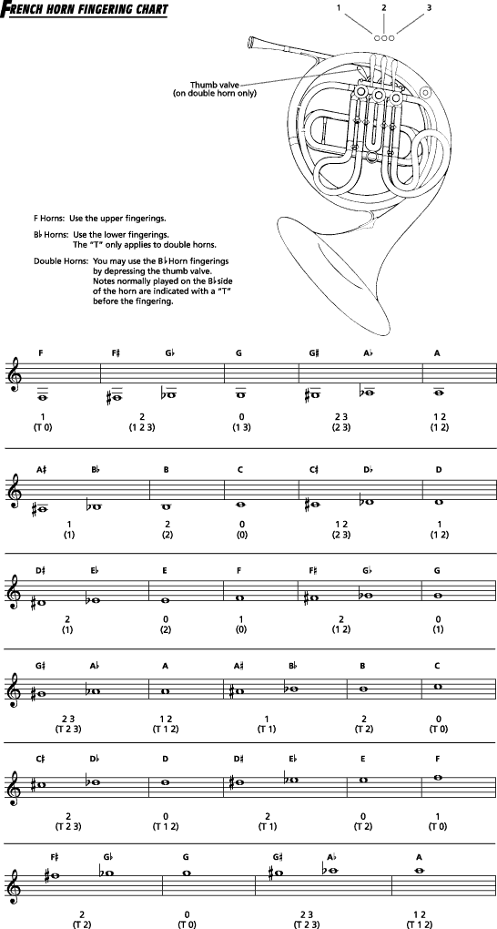Free Fingering Charts for All Instruments StepWise Publications 