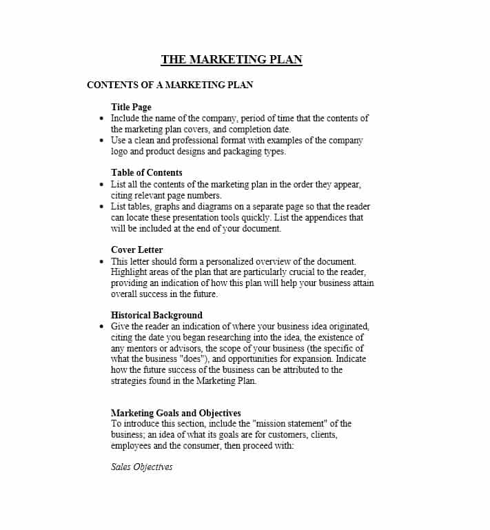 30 Professional Marketing Plan Templates Template Lab for 