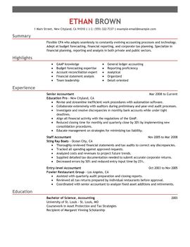 Impactful Professional Accounting Resume Examples & Resources 