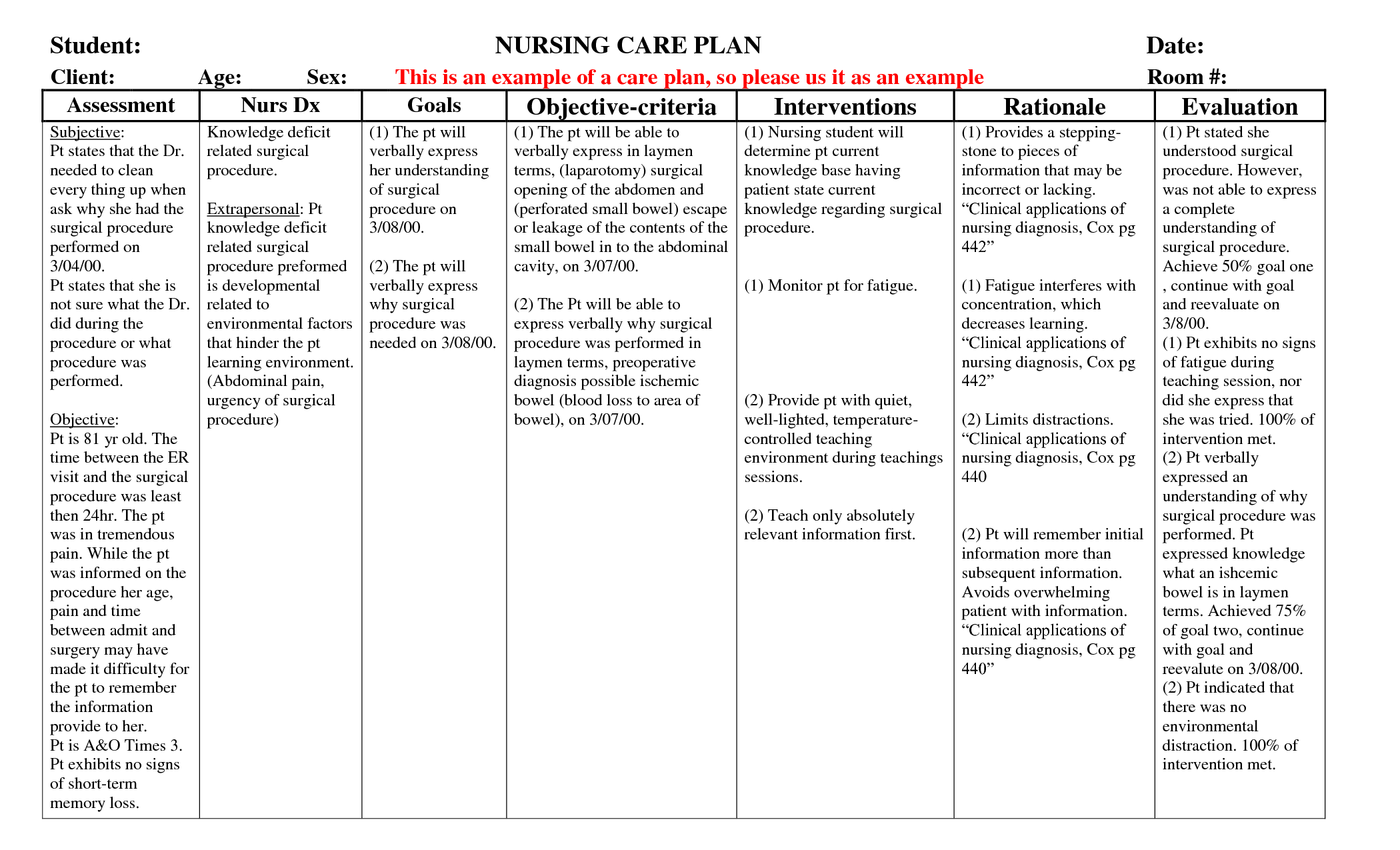 Mock Care Plan Assignment Essay - Words
