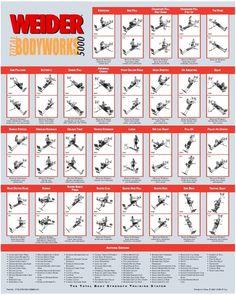 Weider Pro 6900 Exercise Chart | Exercise chart, Exercises and Chart