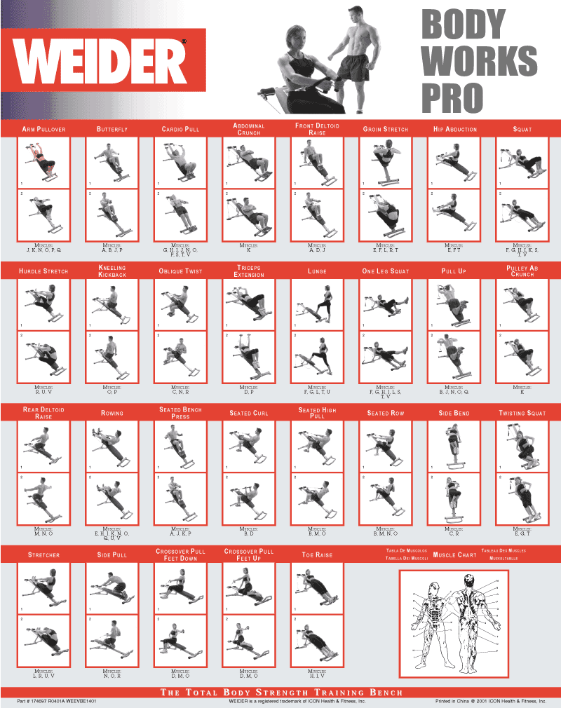 exercise chart pdf - Togo.wpart.co