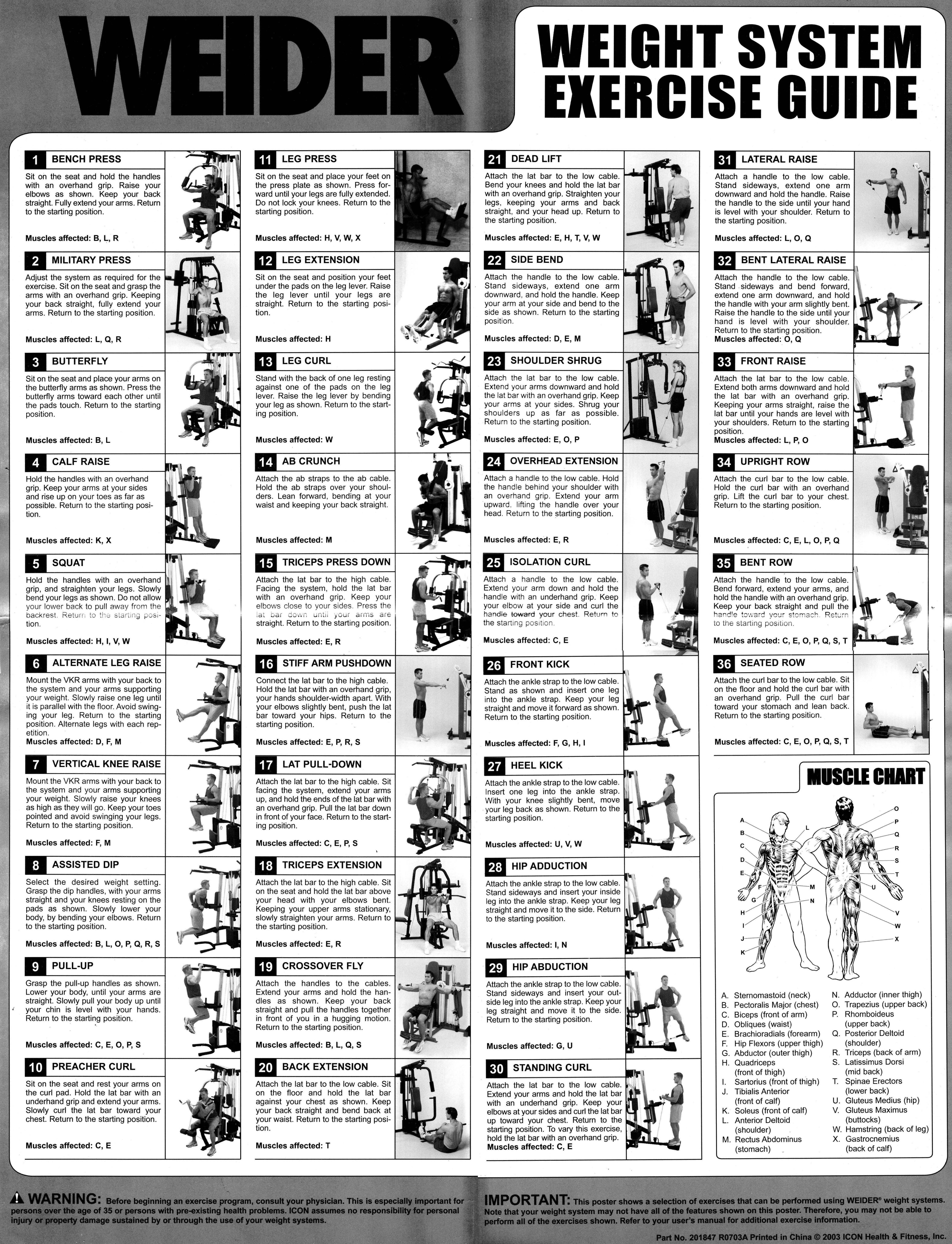 Weider Pro 6900 Exercise Chart | Exercise chart, Exercises and Chart