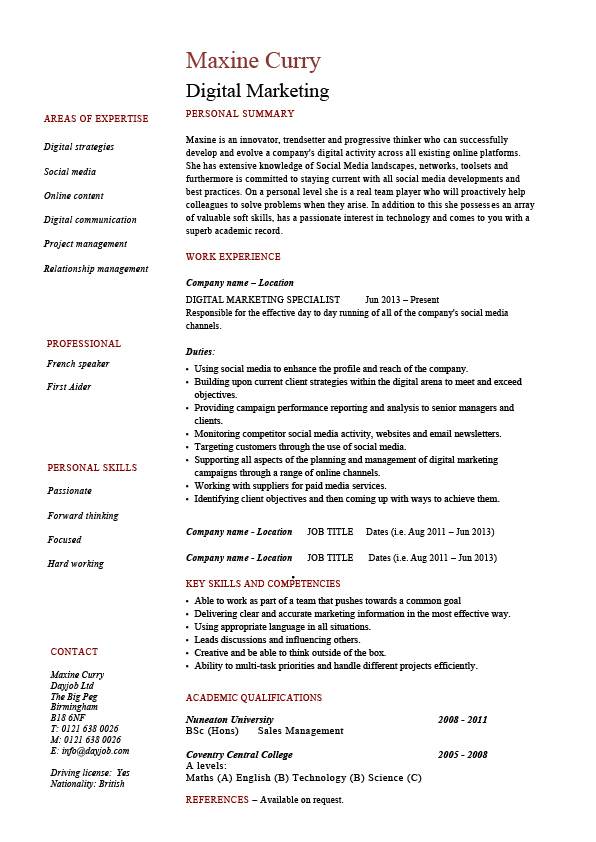 Digital marketing resume, Internet, example, sample, web, campaign 