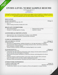 How to Write a Career Objective | 15+ Resume Objective Examples | RG